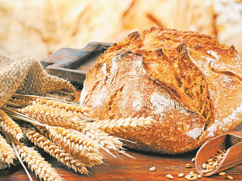 Новости Днепра про Цены на хлеб снова вырастут: когда ждать подорожания