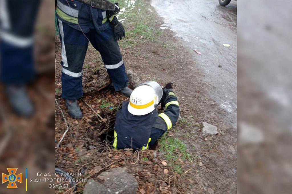 Новости Днепра про На Днепропетровщине спасатели достали щенка из заброшенного коллектора