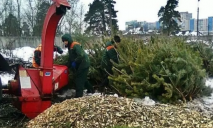 Где в Днепре можно сдать новогоднюю елку на переработку (АДРЕСА)