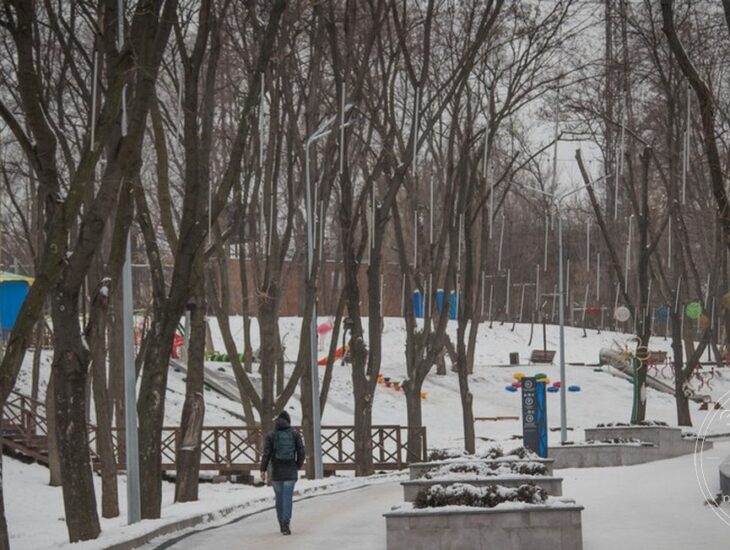Новости Днепра про Катались на санках и врезались в электроопору: подробности страшной трагедии в парке «Зеленый гай»