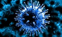 Жизни троих днепрян унес коронавирус: актуальная статистика