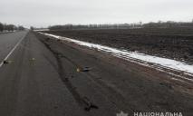 На Днепропетровщине на трассе нашли тело мужчины после ДТП: ищут сбежавшего водителя