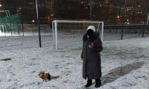 Боятся только полицию: в Днепре на Левобережном хозяева собак оккупировали школьный стадион