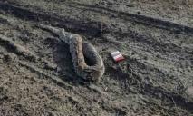 Удав умер посреди поля: на Днепропетровщине нашли труп огромной змеи