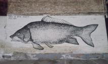 В Днепре на Баррикадной заметили 7-метровую рыбу (ФОТО)