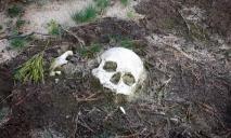 Кости и череп: на Днепропетровщине нашли человеческие останки