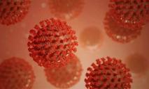 В Днепре за прошедшие сутки коронавирусом заболели 338 человек