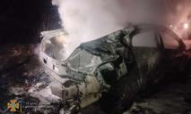 Сгорели дотла: под Днепром огонь уничтожил два авто (ФОТО)