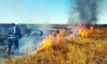Смерть животных и сгоревшая растительность: с начала войны на Днепропетровщине зафиксировали 999 возгораний в экосистемах