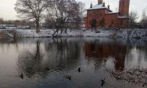 Добрый знак: на озеро Победы-6 возле церкви вернулись утки (ФОТО)