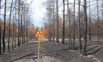 Большая доза радиации: русские военные окапываются в «Рыжем лесу» около ЧАЭС