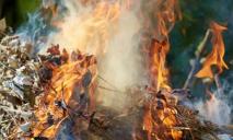 Хотела сжечь листья: в Днепре женщина спалила два сарая