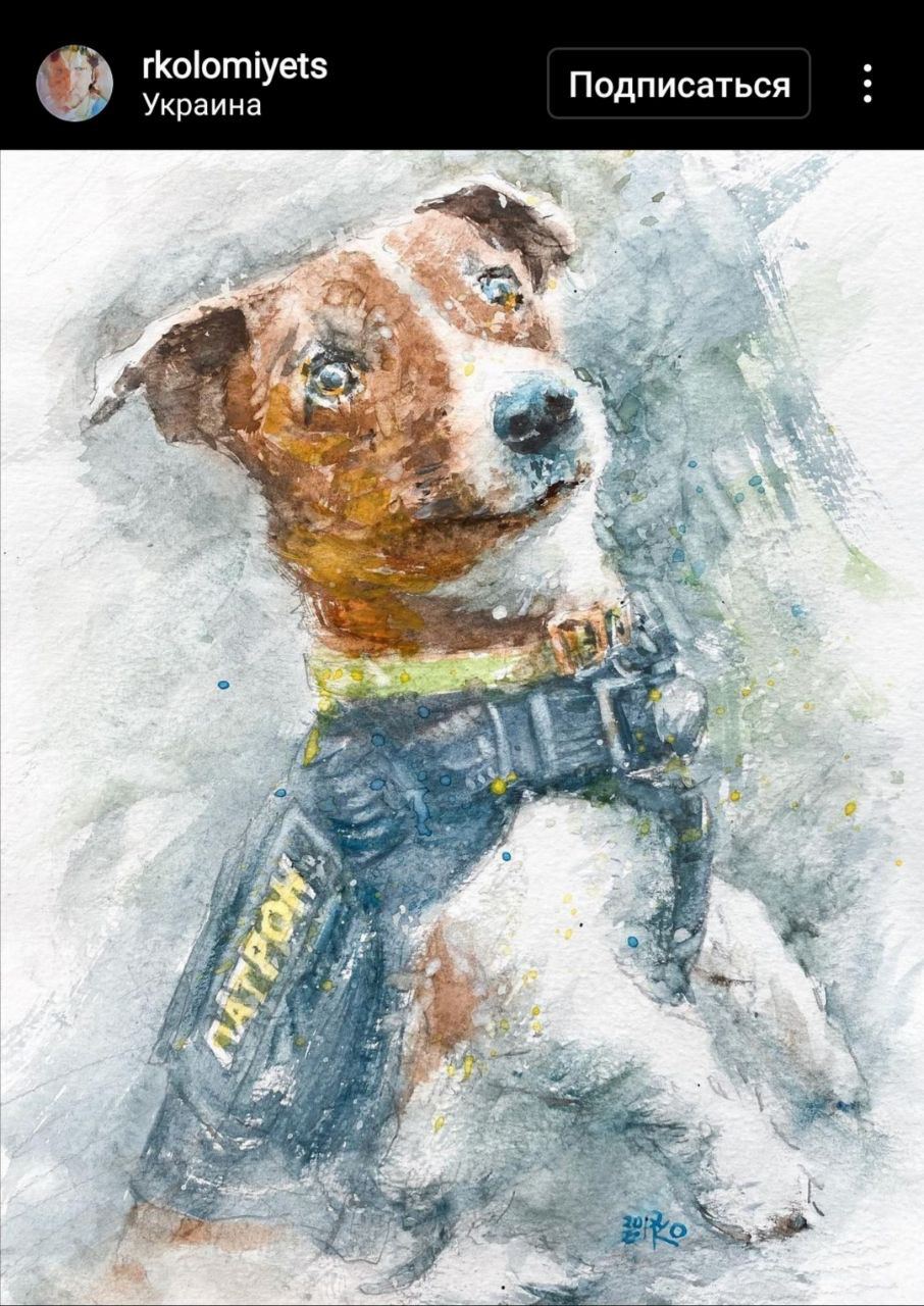 Новости Днепра про Разыскивает взрывчатку и помогает спасателям: пёс Патрон стал настоящим героем