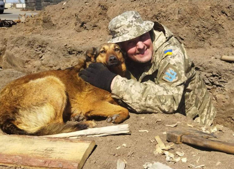 Новости Днепра про Собака-доброволец: пес охраняет Никопольский блокпост ТрО