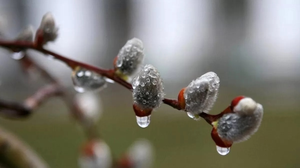 Новости Днепра про На Днепропетровщину идёт новая волна похолодания и дожди: прогноз