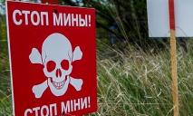 Саперы нашли и ликвидировали в Зеленодольской ОТГ на Днепропетровщине почти 700 вражеских боеприпасов