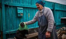 Доброе украинское сердце: как бабушка в Буче спасала свою собаку от обстрелов