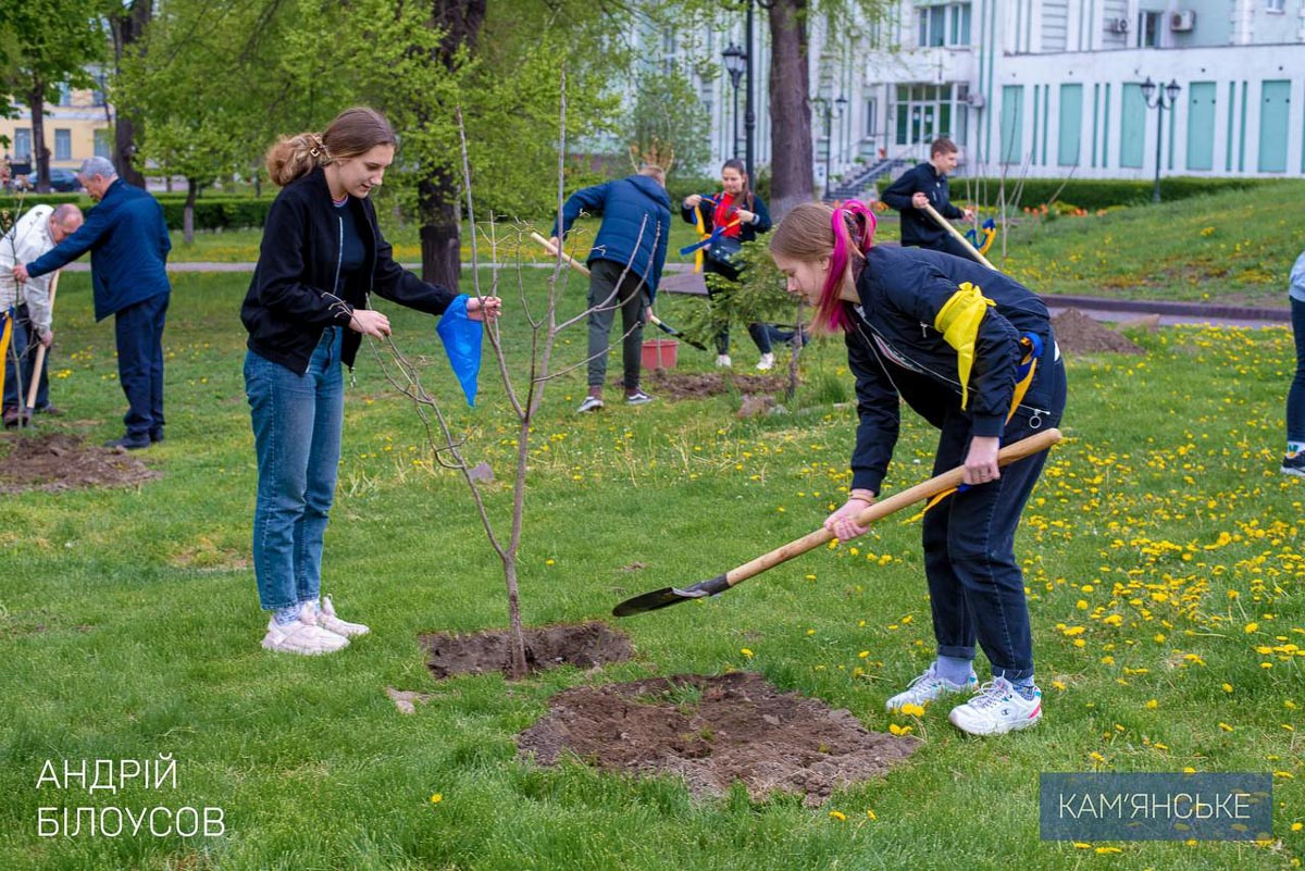 Новости Днепра про Аллея мира: в Каменском высадили молодые деревья