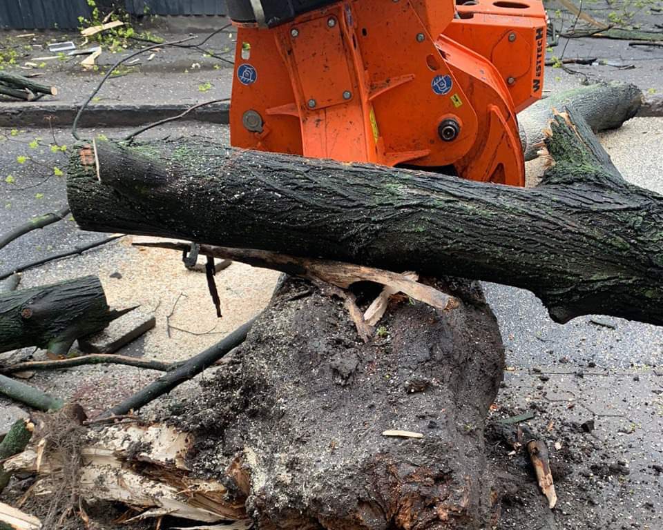 Новости Днепра про Последствия непогоды: в Днепре на торговый павильон упало огромное дерево