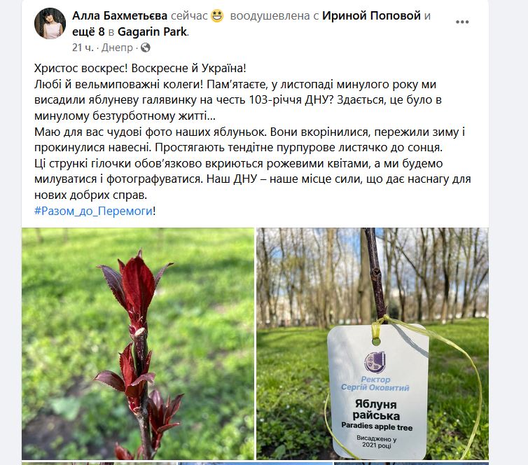 Новости Днепра про Райский сад: в Днепре в парке Гагарина распускаются молодые яблоньки