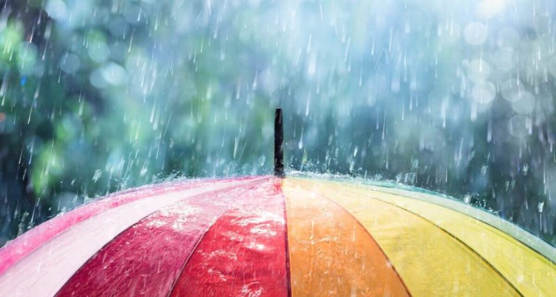 Новости Днепра про Не забудьте зонт: в четверг днепрян ждет дождливая погода