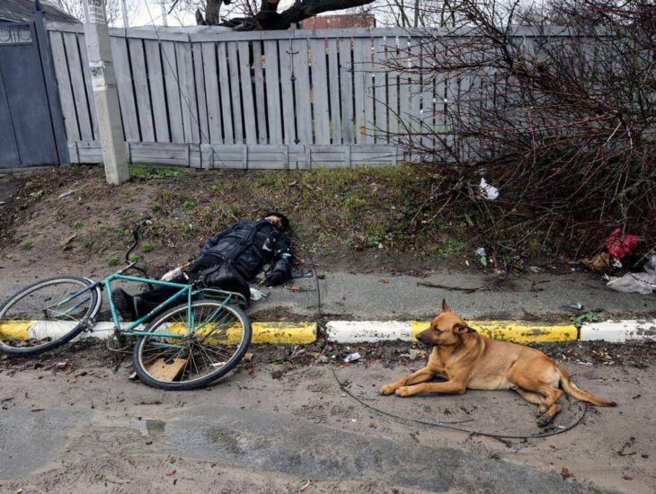 Новости Днепра про Под Киевом от убитого на улице хозяина ни на минуту не отходит верный пес