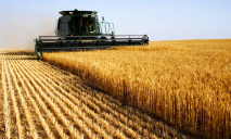 Часть на экспорт: аграрии Украины смогут засеять до 80% всех площадей
