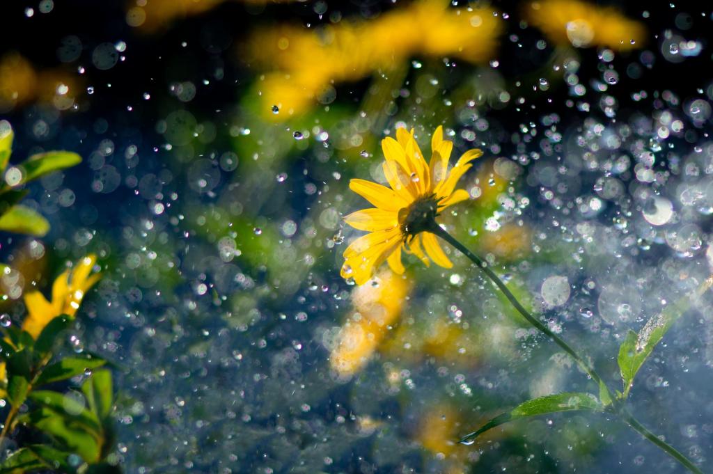 Новости Днепра про Погода в Днепре в четверг, 19 мая: ожидается небольшой дождь
