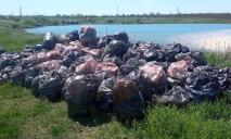 Гора мусора: переселенцы из Харькова привели в порядок «Мальдивы» на Днепропетровщине (ФОТО)