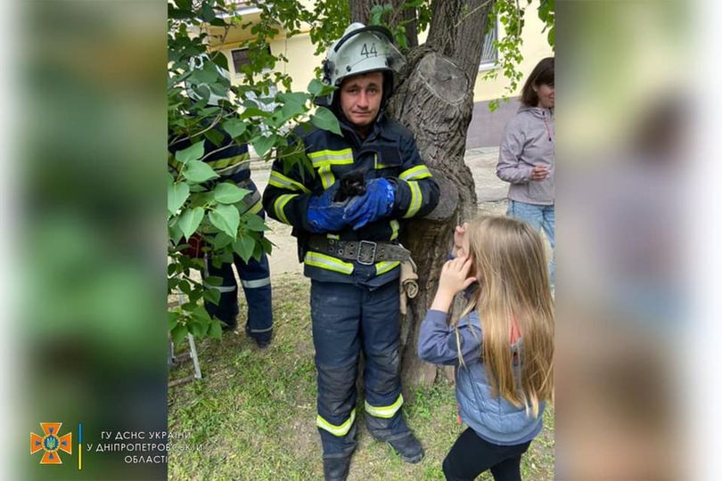 Новости Днепра про Минутка добра: спасатели Днепропетровщины сняли с дерева напуганного кота