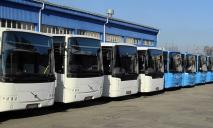 На Днепропетровщине возобновили еще 17 автобусных маршрутов