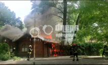 В Днепре в парке Глобы горит кафе: спасатели на месте (видео)