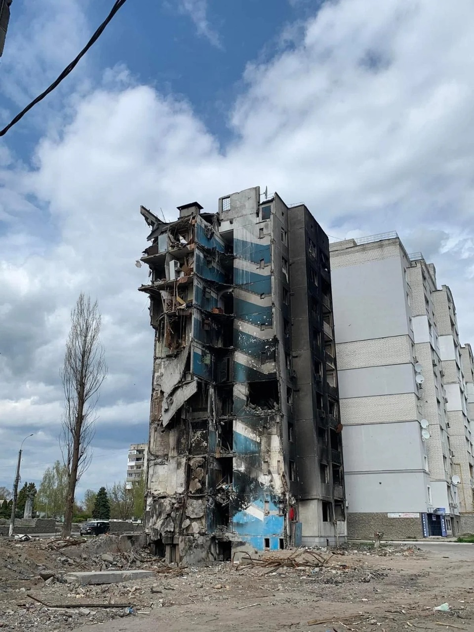 Новости Днепра про Пушистое чудо: с 7 этажа уничтоженного здания в Бородянке спасли кота