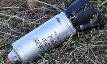 В Криворожском районе обезвредили 41 кассетный боеприпас и 4 ракеты от «Урагана», — Вилкул