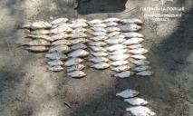 Ловись, рыбка, большая и маленькая: в Днепре задержали рыбаков-браконьеров