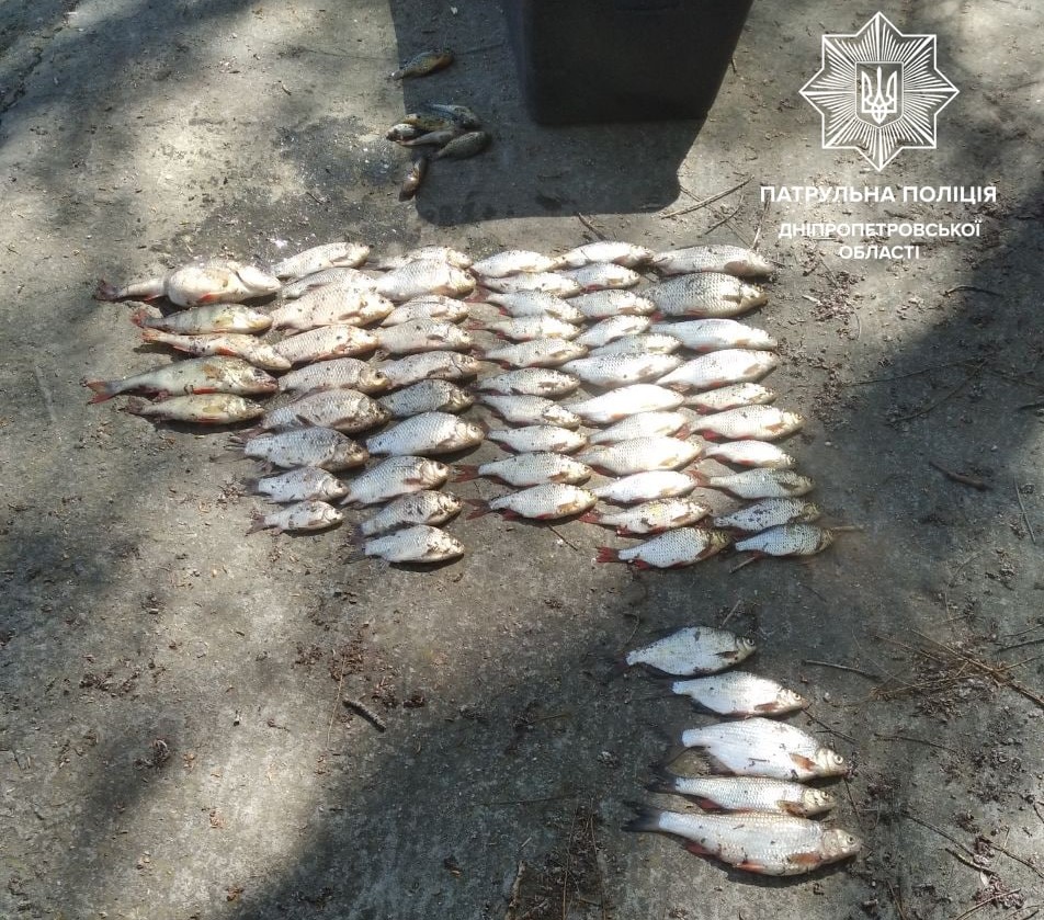 Новости Днепра про Ловись, рыбка, большая и маленькая: в Днепре задержали рыбаков-браконьеров