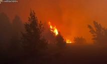 Рядом с зоной отчуждения горит лес: что говорят спасатели
