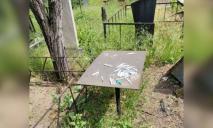 На кладбище в Днепре нашли десятки использованных шприцев