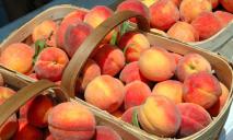 В Днепре начали продавать абрикосы и персики: цена шокирует