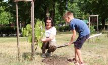 В днепровском парке переселенцы-волонтеры высадили «деревья-фениксы»