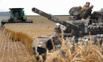 Россия вывезла из Украины более 400 тонн зерна