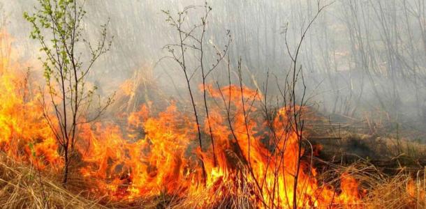 На Днепропетровщине повышенный уровень пожароопасности: будьте осторожны