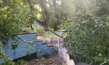 В Днепре в парке Глобы упало дерево возле отдыхающих (ВИДЕО МОМЕНТА)