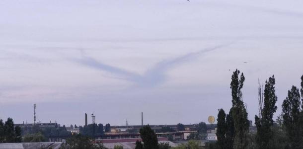Хороший знак: в небе над Днепром заметили гигантского голубя (ФОТО)
