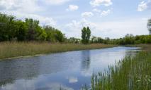 В реке на Днепропетровщине обнаружили холероподобный вибрион: опасно ли это