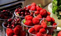 Супермаркеты обновили цены на клубнику и черешню: где дешевле купить ягоды
