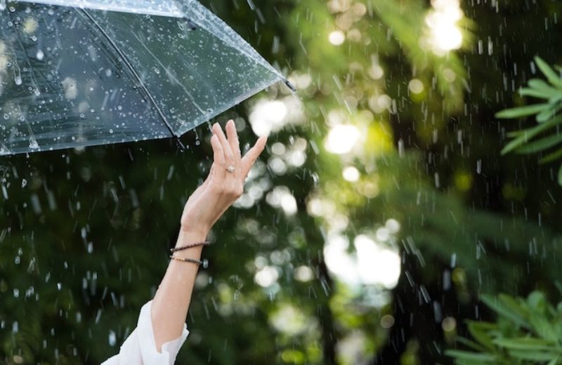 Новости Днепра про Погода в Днепре в четверг, 30 июня: ожидается дождь с грозой