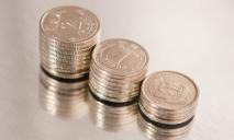В Украине появятся новые монеты: что будет изображено на памятных деньгах