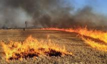 В Днепре и области объявлен высокий уровень пожарной опасности