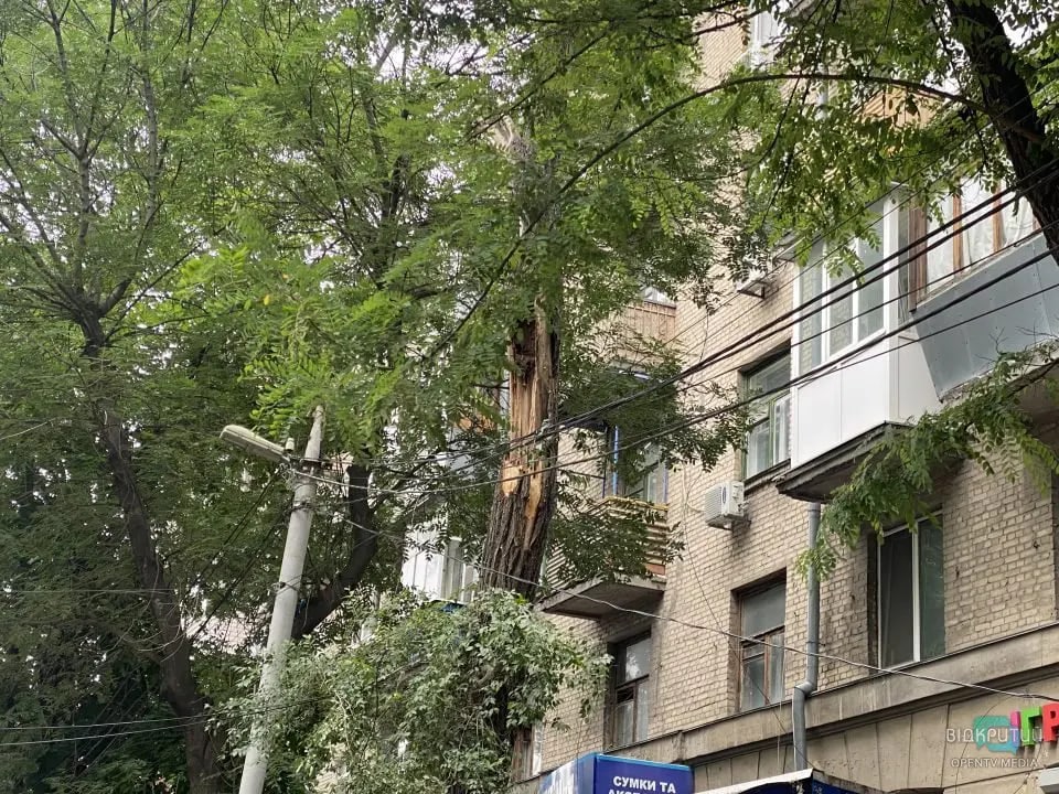 Новости Днепра про В Днепре на улице Инженерной сухие ветки рухнули на киоск
